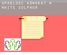 Upadłość adwokat w  White Sulphur