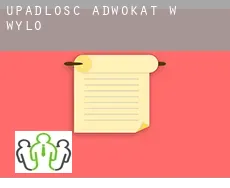 Upadłość adwokat w  Wylo