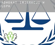 Adwokat imigracji w  Lopa