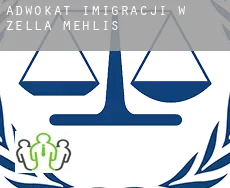 Adwokat imigracji w  Zella-Mehlis