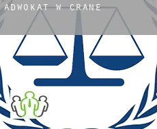 Adwokat w  Crane