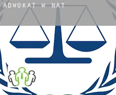 Adwokat w  Nat