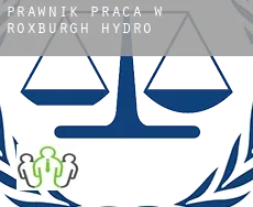 Prawnik praca w  Roxburgh Hydro