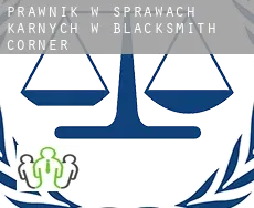 Prawnik w sprawach karnych w  Blacksmith Corner