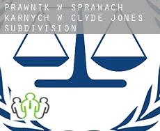 Prawnik w sprawach karnych w  Clyde Jones Subdivision