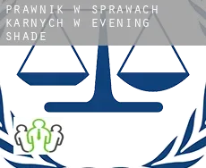 Prawnik w sprawach karnych w  Evening Shade