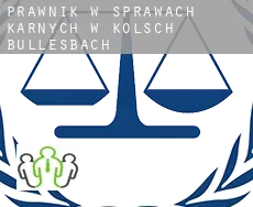 Prawnik w sprawach karnych w  Kolsch-Bullesbach