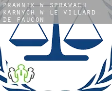 Prawnik w sprawach karnych w  Le Villard de Faucon