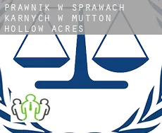 Prawnik w sprawach karnych w  Mutton Hollow Acres