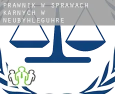 Prawnik w sprawach karnych w  Neubyhleguhre