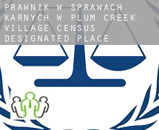 Prawnik w sprawach karnych w  Plum Creek Village