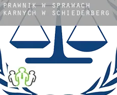 Prawnik w sprawach karnych w  Schiederberg