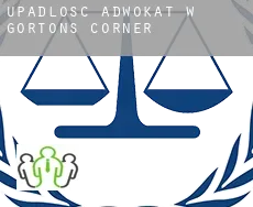 Upadłość adwokat w  Gortons Corner