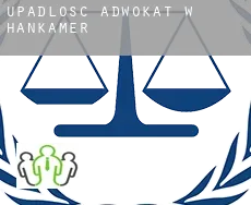 Upadłość adwokat w  Hankamer