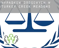 Wypadków drogowych w  Turkey Creek Meadows