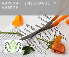 Adwokat imigracji w  Andrew