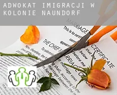 Adwokat imigracji w  Kolonie Naundorf