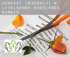 Adwokat imigracji w  Loyalhanna Woodlands Number 2