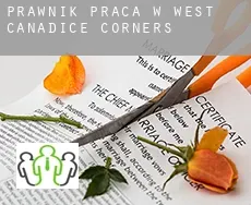 Prawnik praca w  West Canadice Corners