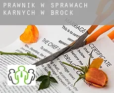 Prawnik w sprawach karnych w  Brock