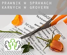 Prawnik w sprawach karnych w  Grovern