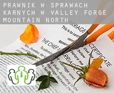 Prawnik w sprawach karnych w  Valley Forge Mountain North