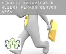 Adwokat imigracji w  Hubert-Perron (census area)