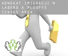 Adwokat imigracji w  L'Abord-à-Plouffe (census area)