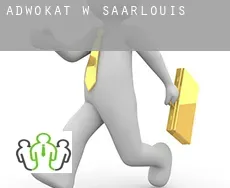 Adwokat w  Saarlouis