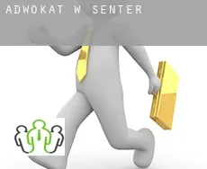 Adwokat w  Senter