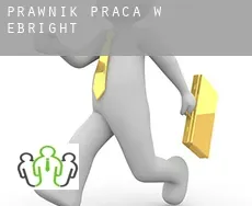 Prawnik praca w  Ebright