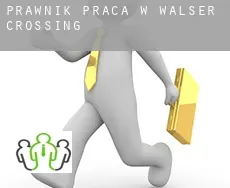 Prawnik praca w  Walser Crossing