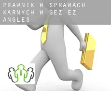 Prawnik w sprawach karnych w  Gez-ez-Angles