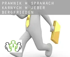 Prawnik w sprawach karnych w  Jeber-Bergfrieden