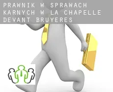 Prawnik w sprawach karnych w  La Chapelle-devant-Bruyères
