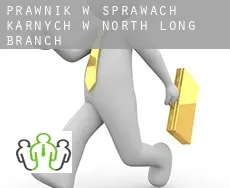 Prawnik w sprawach karnych w  North Long Branch