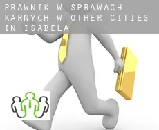 Prawnik w sprawach karnych w  Other cities in Isabela