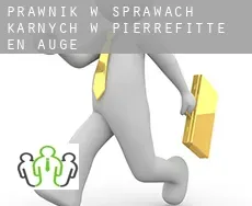 Prawnik w sprawach karnych w Pierrefitte-en-Auge
