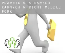 Prawnik w sprawach karnych w  Right Middle Fork