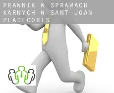 Prawnik w sprawach karnych w  Sant Joan de Pladecorts
