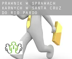 Prawnik w sprawach karnych w  Santa Cruz do Rio Pardo