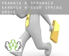 Prawnik w sprawach karnych w  Sour Spring Grove