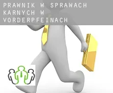 Prawnik w sprawach karnych w Vorderpfeinach