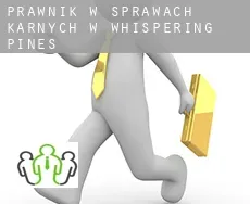 Prawnik w sprawach karnych w  Whispering Pines
