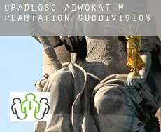 Upadłość adwokat w  Plantation Subdivision