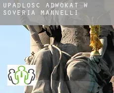 Upadłość adwokat w  Soveria Mannelli