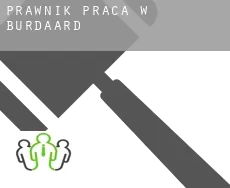Prawnik praca w  Burdaard