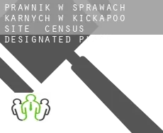 Prawnik w sprawach karnych w  Kickapoo Site 7