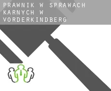 Prawnik w sprawach karnych w  Vorderkindberg