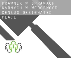 Prawnik w sprawach karnych w  Wedgewood
